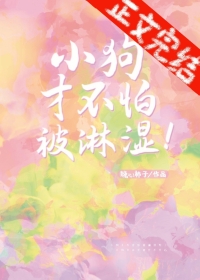 狗不怕下雨吗