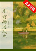 川前雨过风止小说简介