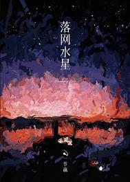 罗网水星小说