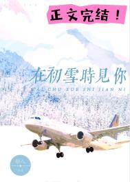 初雪降临的时候