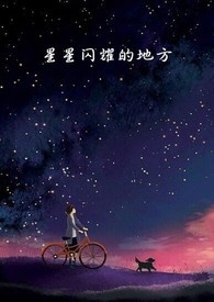 星星在闪耀小说